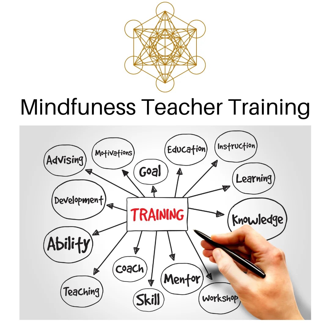 Mindfulness Teacher Training KOTUS Rising