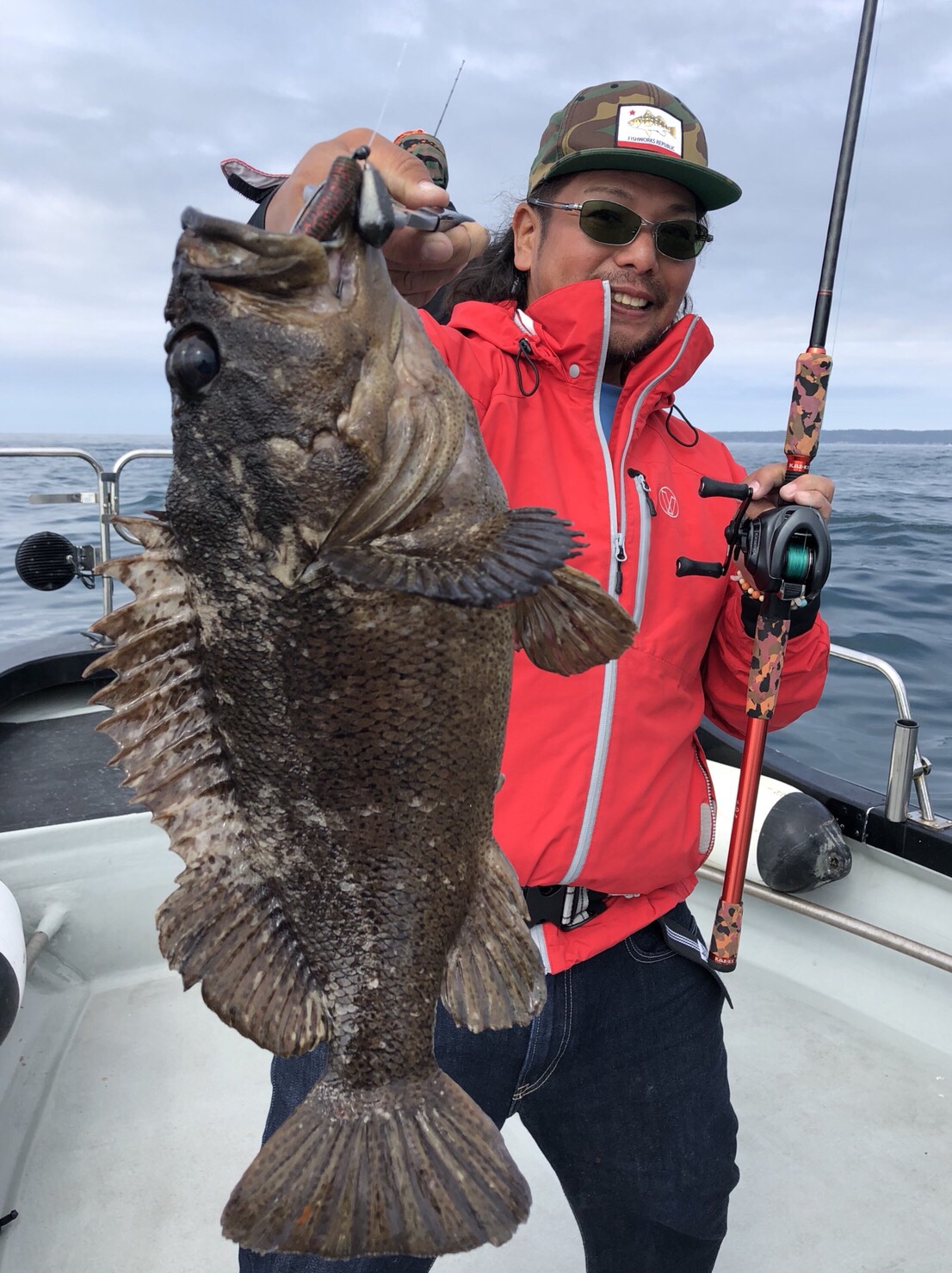 スーパービッグサイズのムラソイ koz case