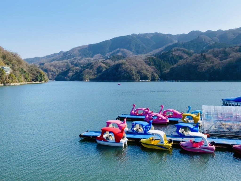 【神奈川県】スワンボートに乗れる湖まとめ 小銭スト