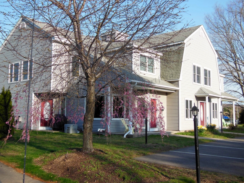 Beechtree Commons KPM