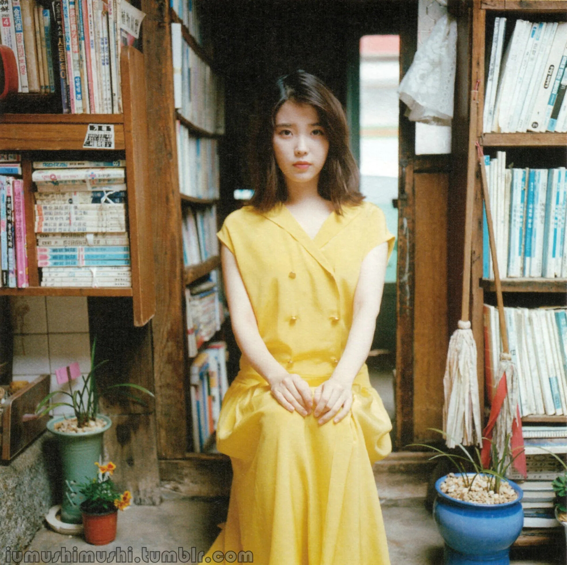 IU 'A Flower Bookmark' album [SCANS] kpopping