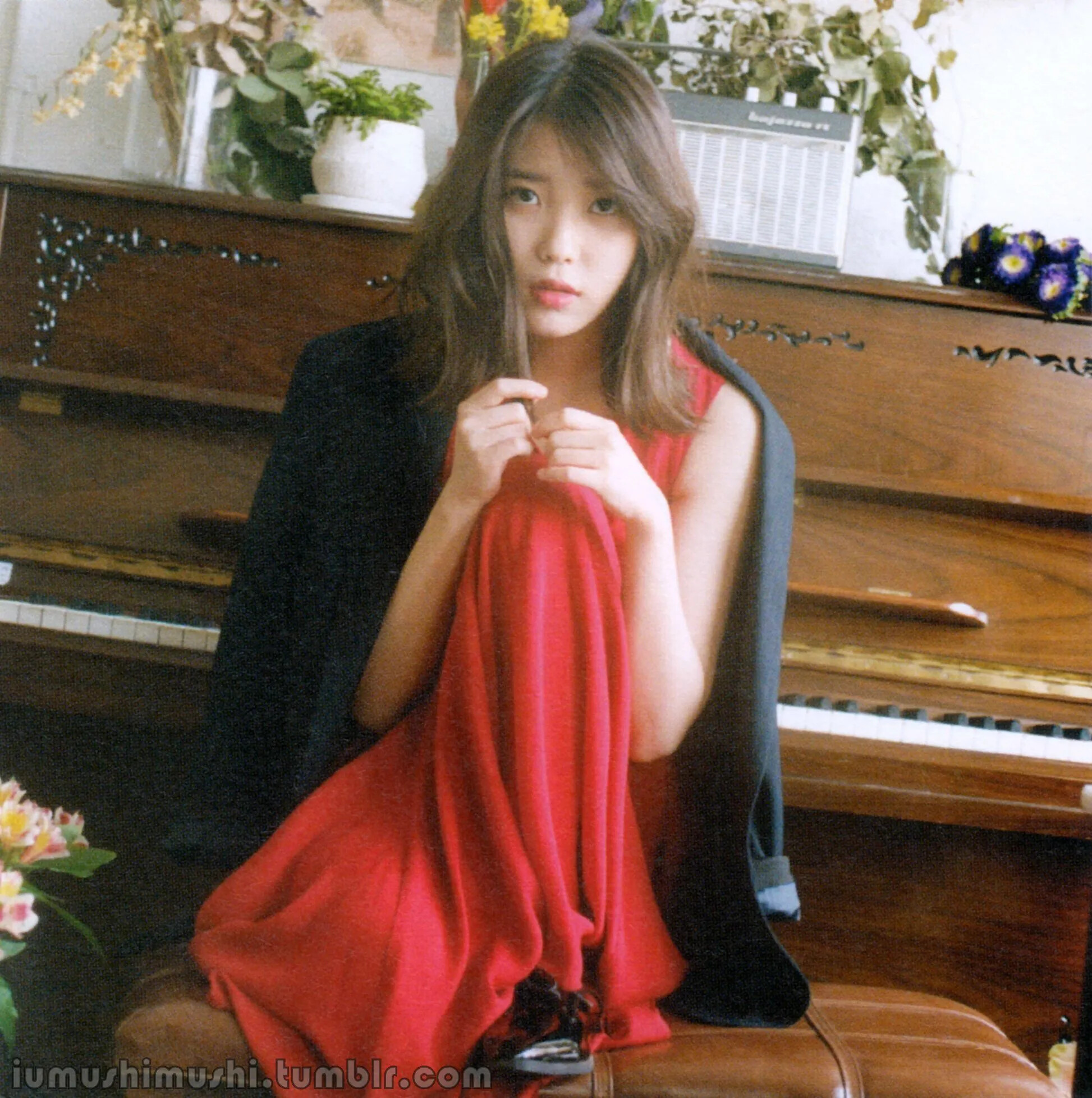 IU 'A Flower Bookmark' album [SCANS] Kpopping