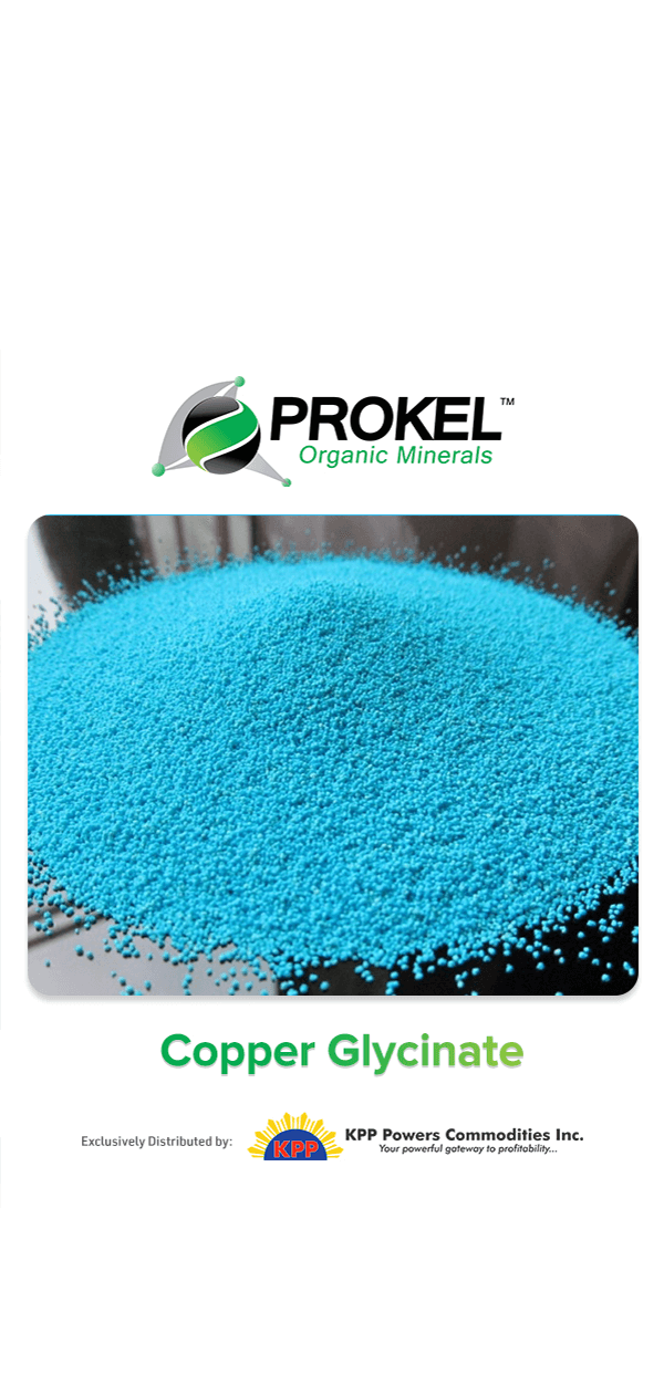 Copper Glycinate KPP Powers Commodities Inc.