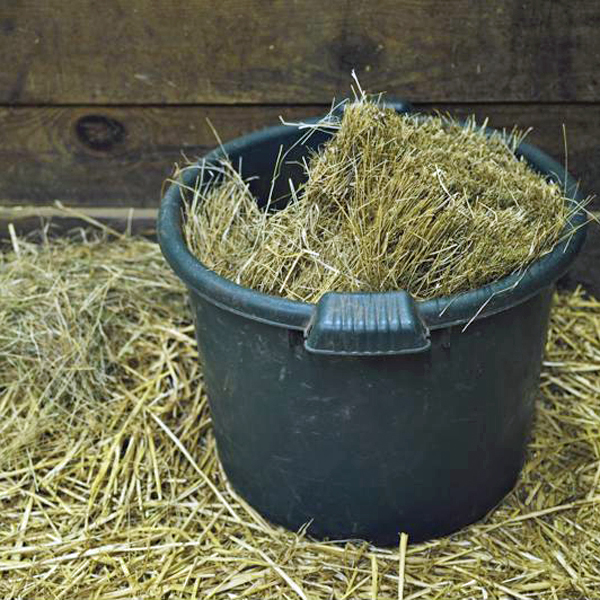 Soaking hay before feeding is one way to lower the sugar levels, but it