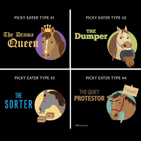 Tips for Picky Eaters of the Horse World KPP