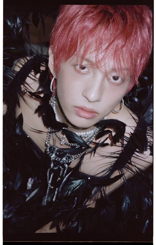 HOLLAND Profile (Updated!) Kpop Profiles