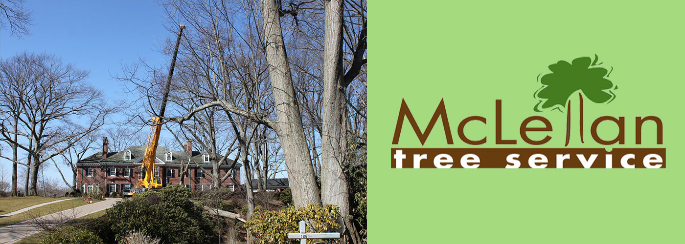 Mclellan Tree Service,