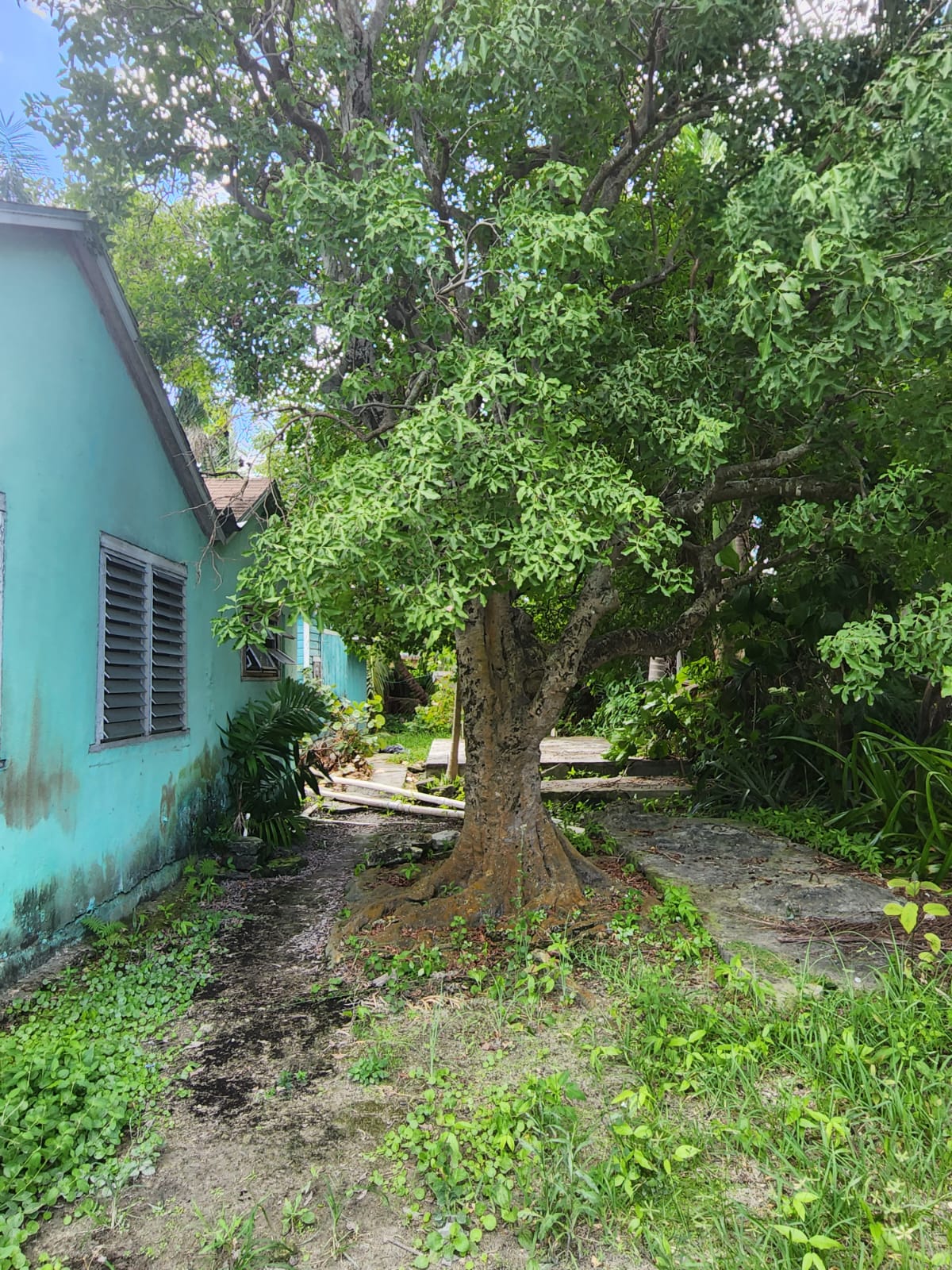 Duplex for sale on Palmetto Street, Listing 2055 KRA Bahamas