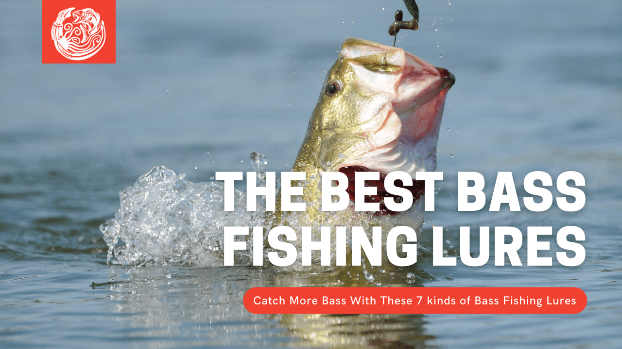 3 Essential Jerkbait Bass Fishing Tips To Catch Fish Better Than Your Friends Kraken Bass