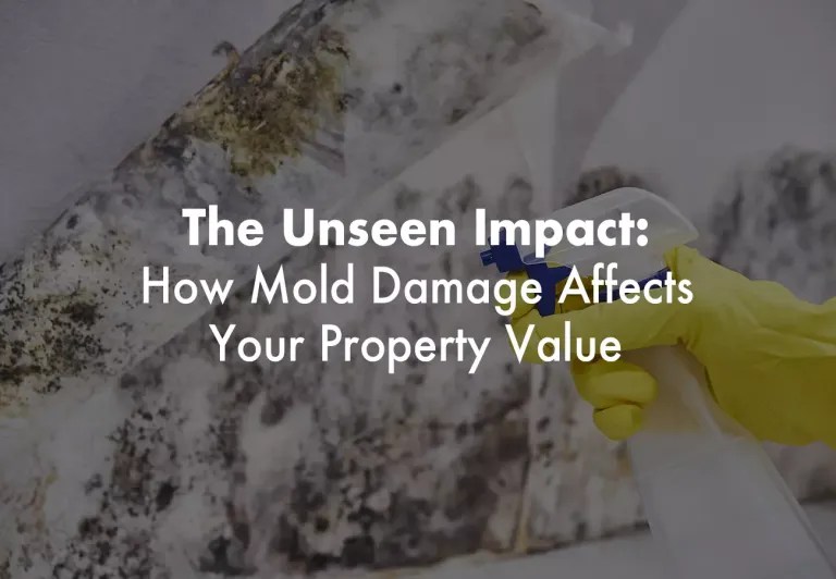 The Unseen Impact How Mold Damage Affects Your Property Value