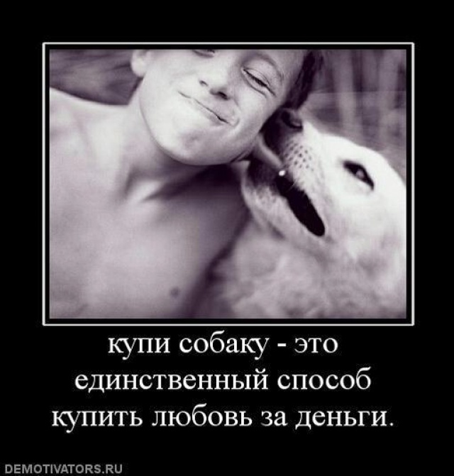 Любовь за деньги не купишь? А так ли это? Шокирующая правда!