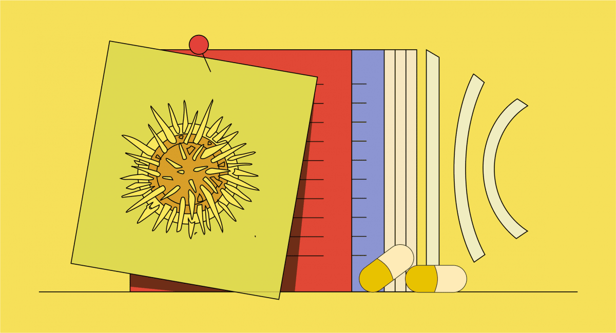 Super Speciosa A Premium Source for Pure Kratom