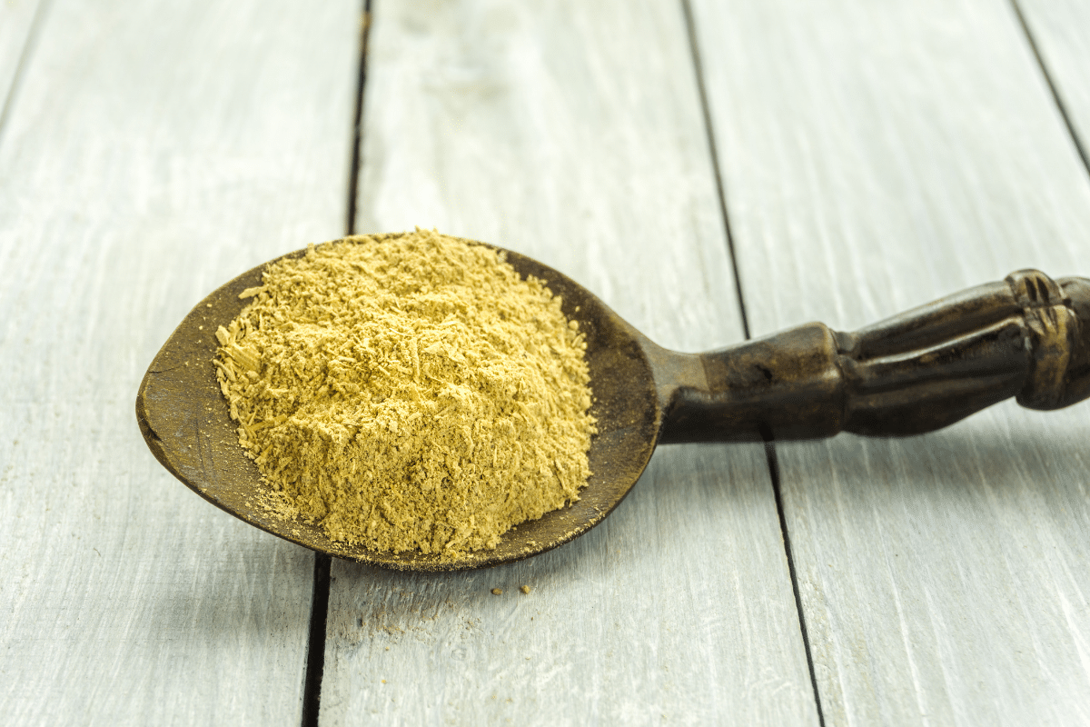 Kava Kava (Piper methysticum) Monograph