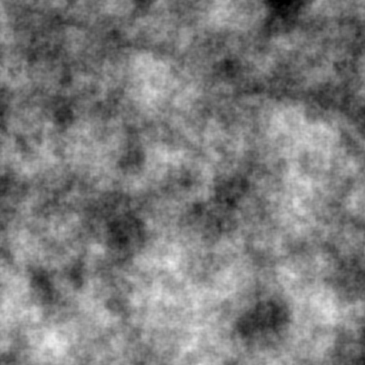 Noise Textures Isaac McGarvey