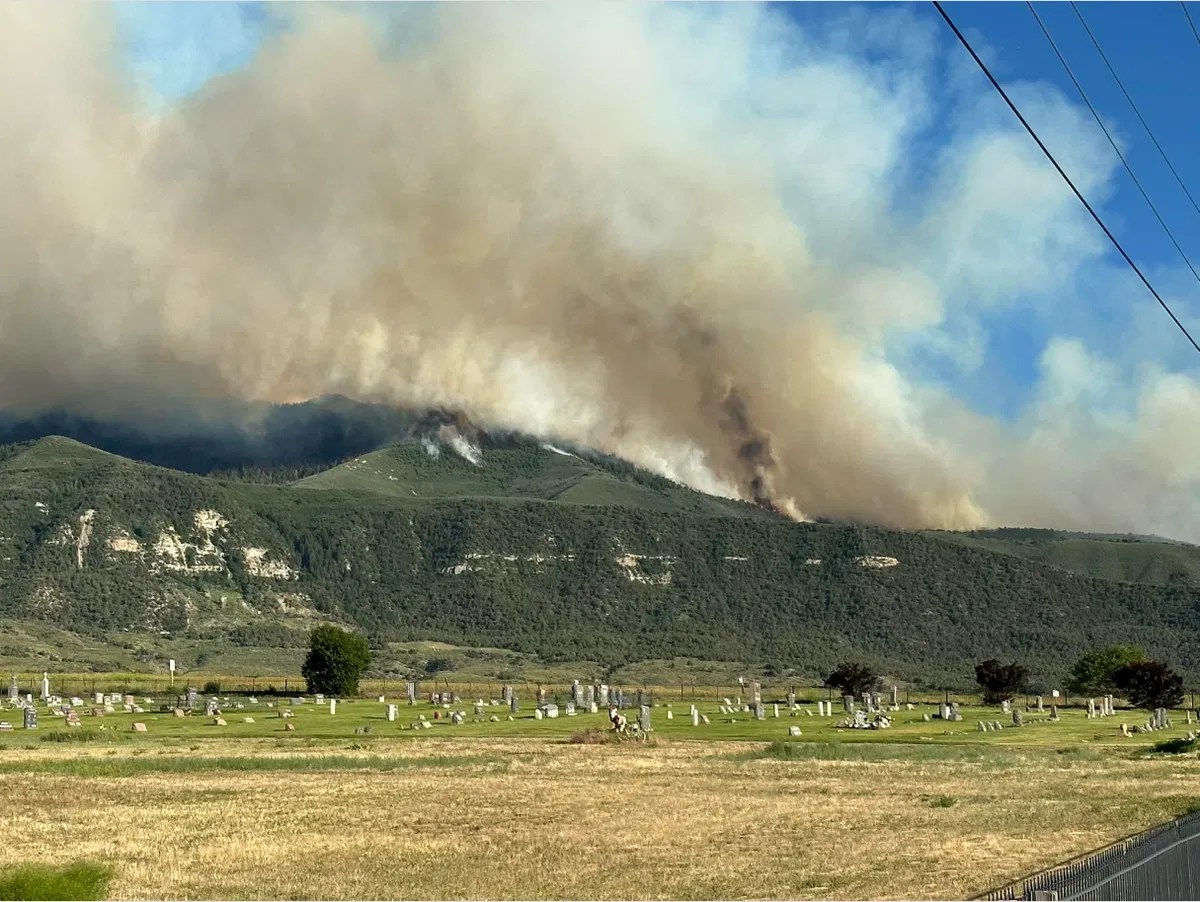 Suppression efforts still underway to contain Spring Creek Fire now at
