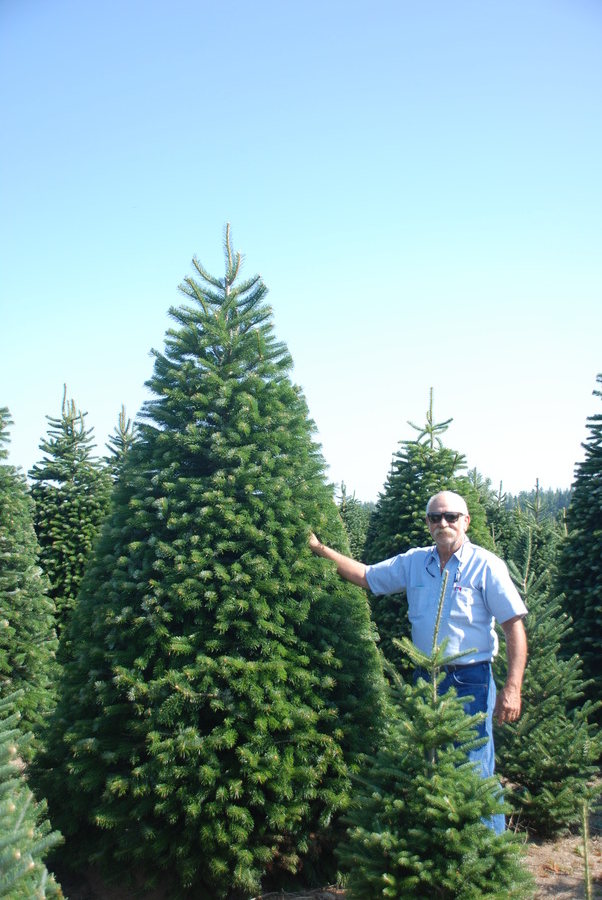 Kringle’s Photo Gallery