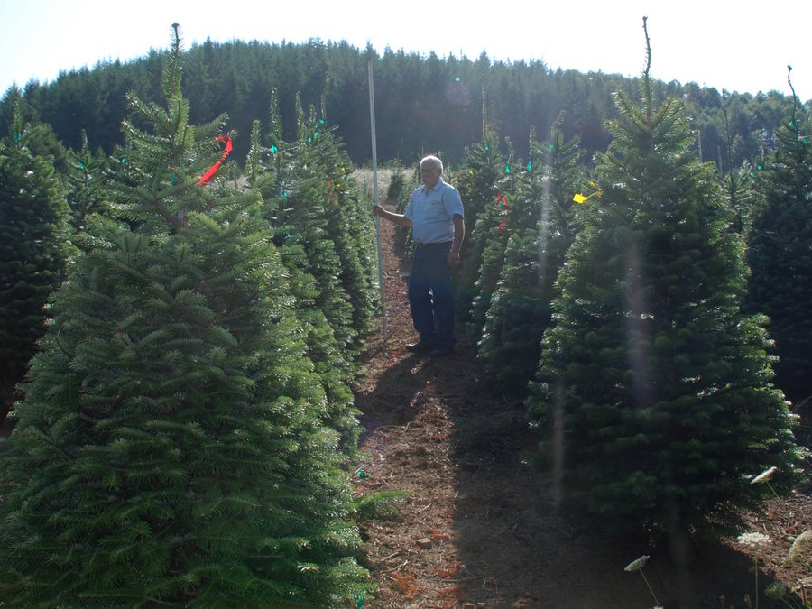 Kringle’s Photo Gallery