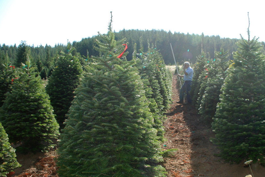 Kringle’s Photo Gallery