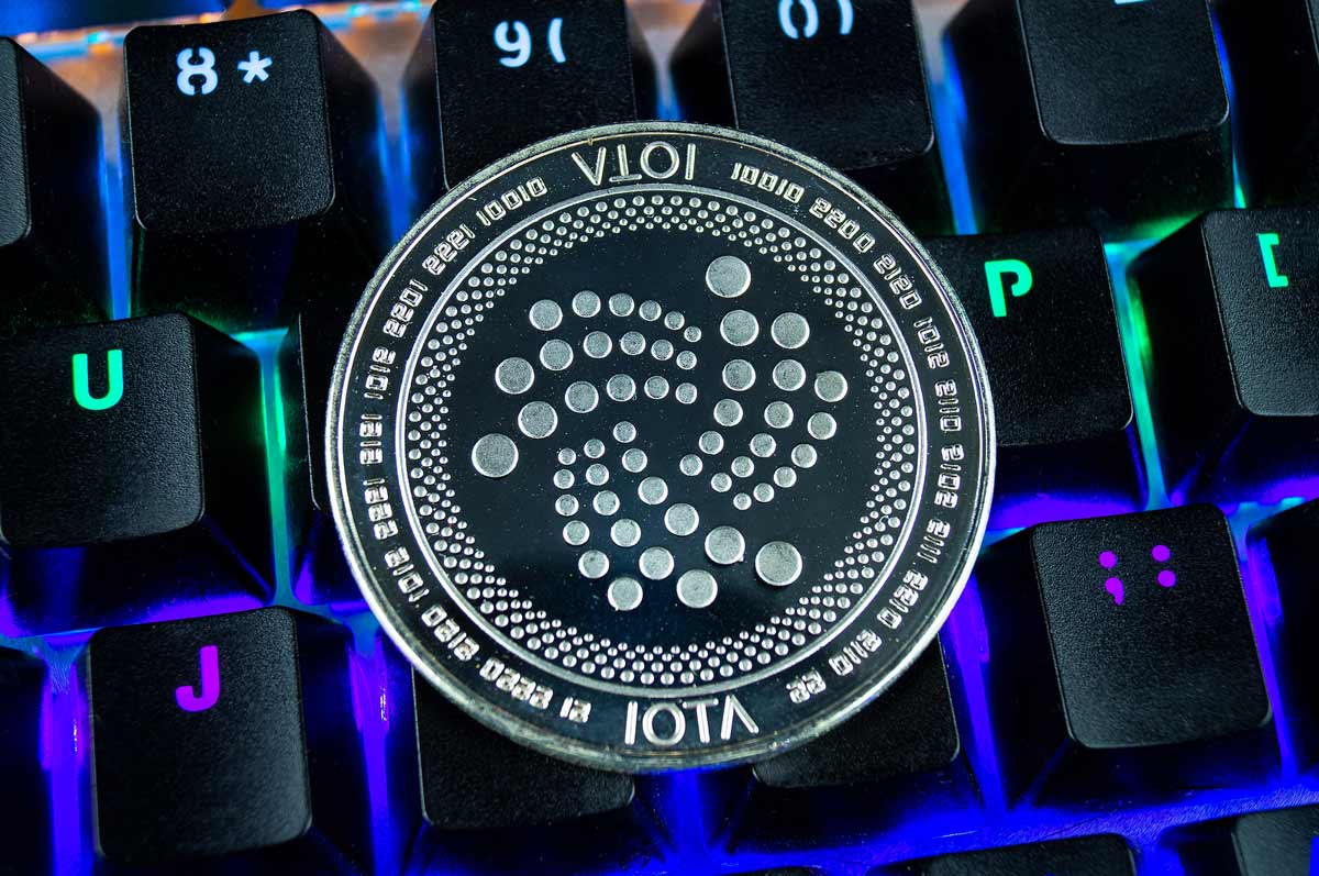 iota-1.jpg