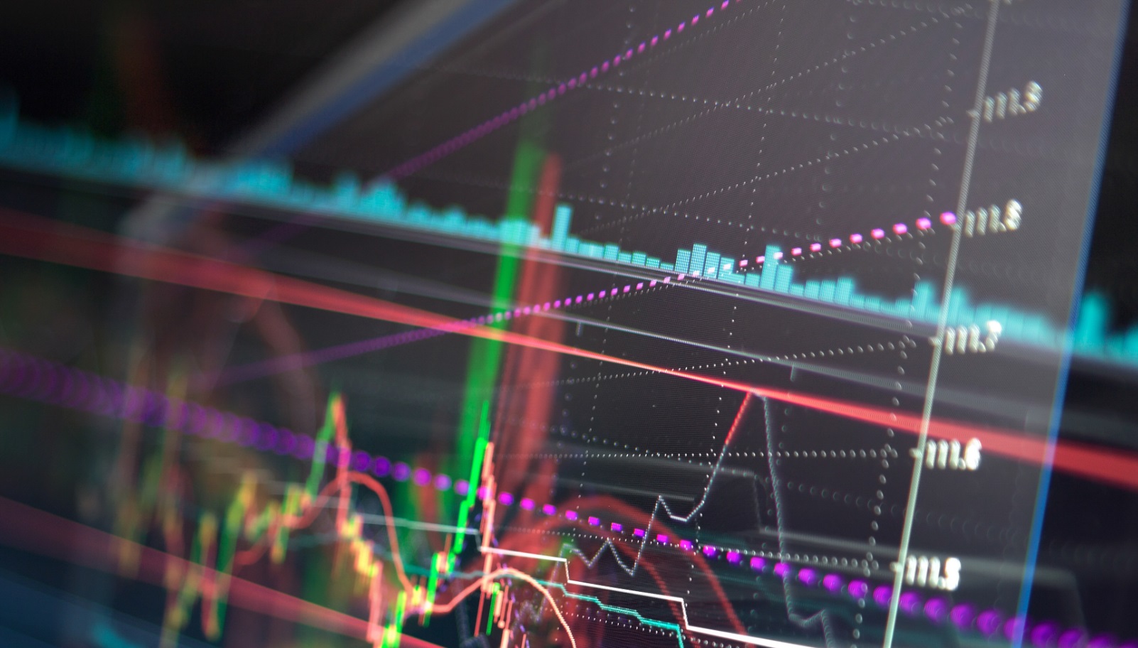 zebpay-banner11.jpg