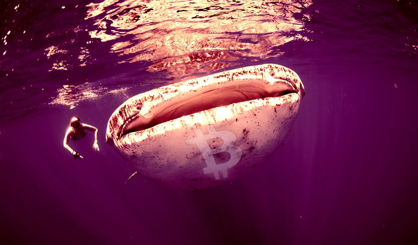 bitcoin-whale-moving.jpg