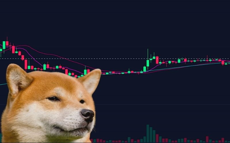 Dogecoin-plummet.jpg