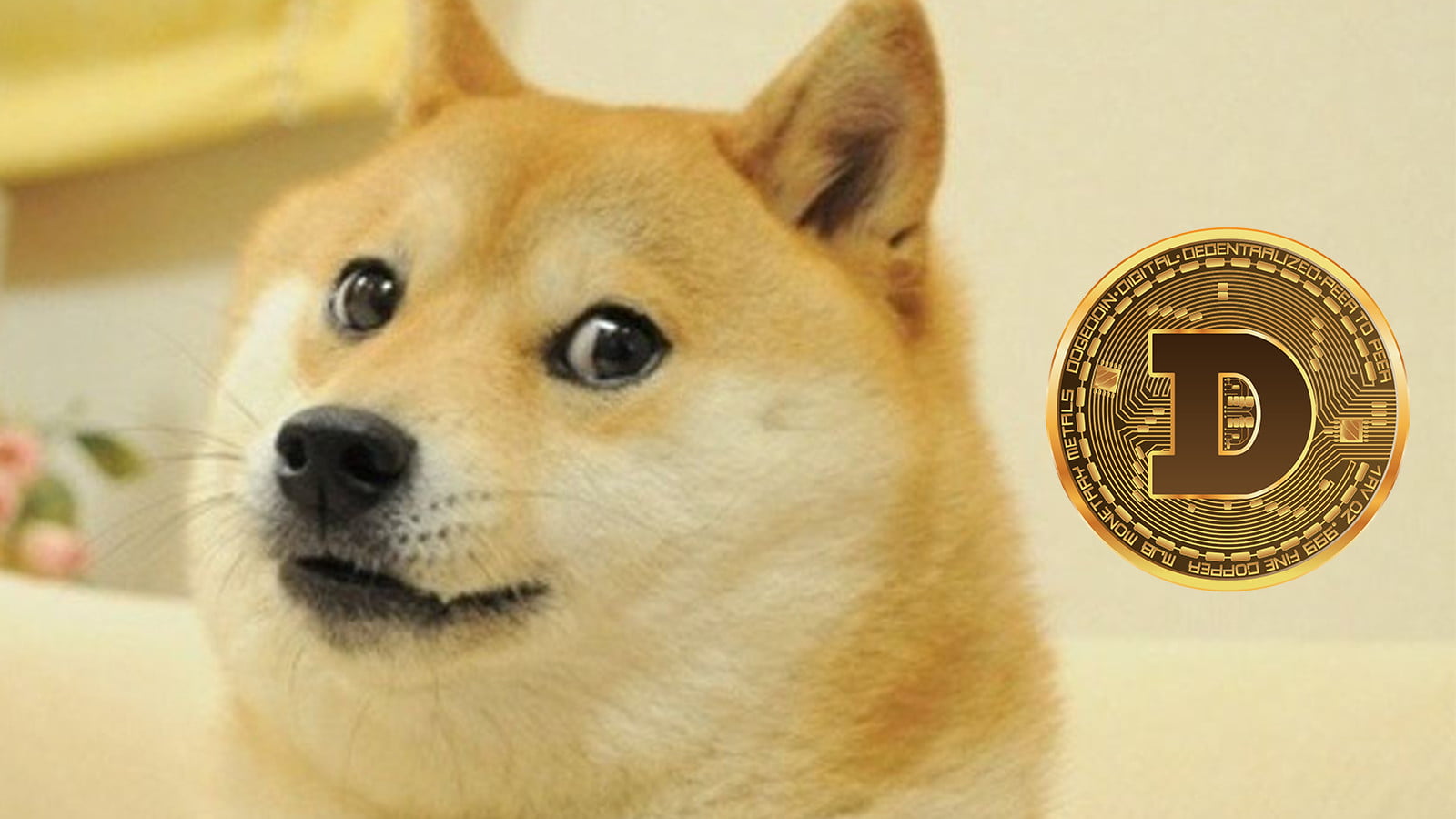 dogecoin-KFK8_cover.jpg