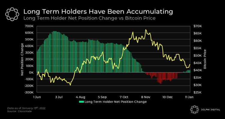 long_term_holders-1.png