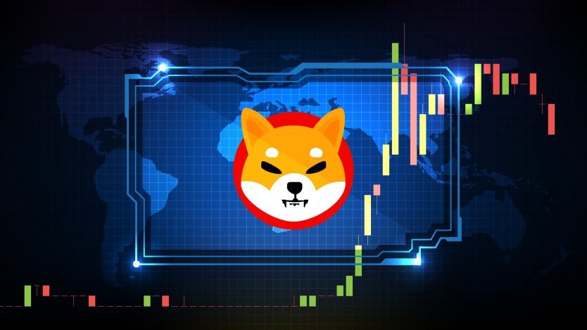 Shiba-Inu-1.jpg