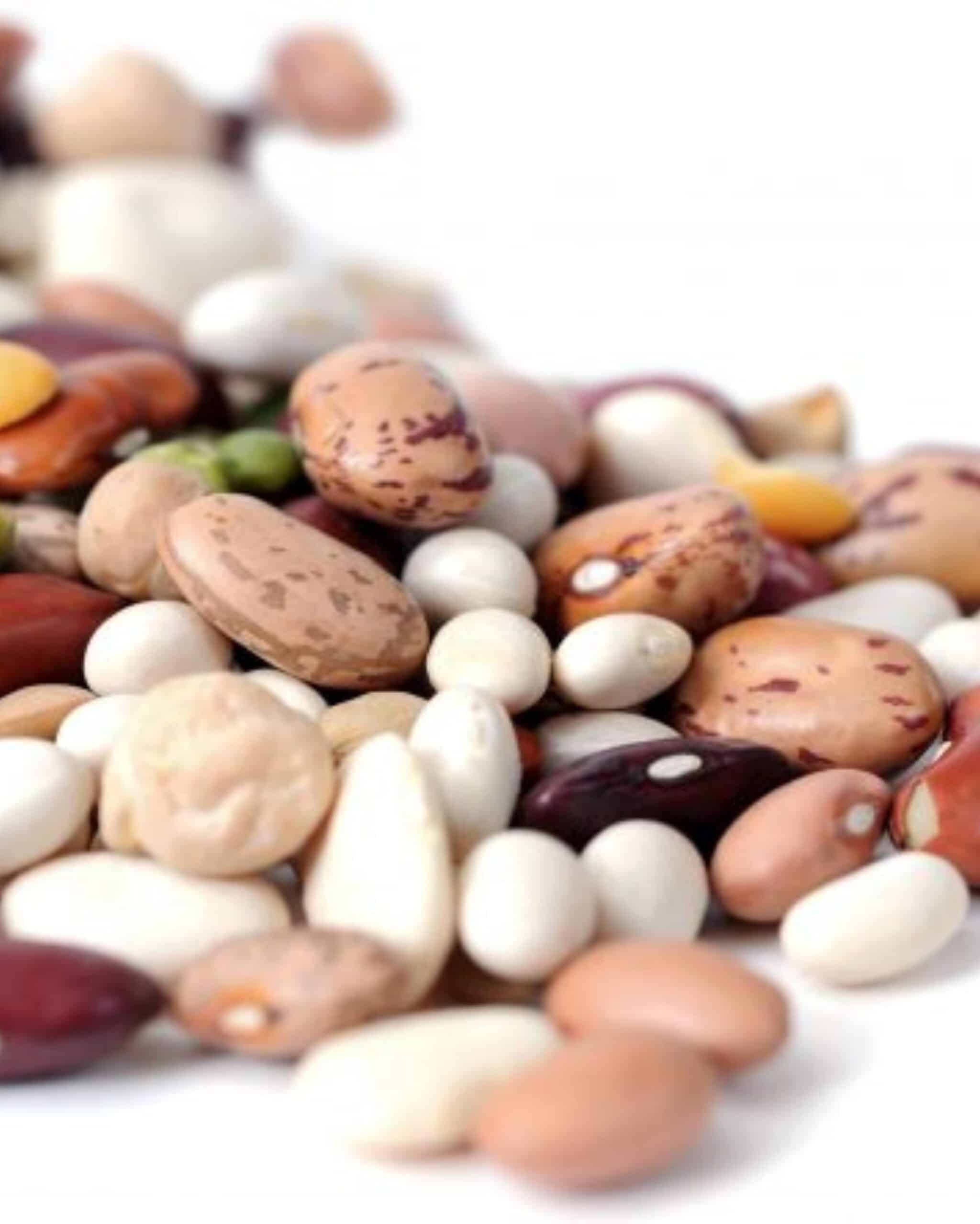Are Lectins Bad For You? The Truth About Lectin in Beans