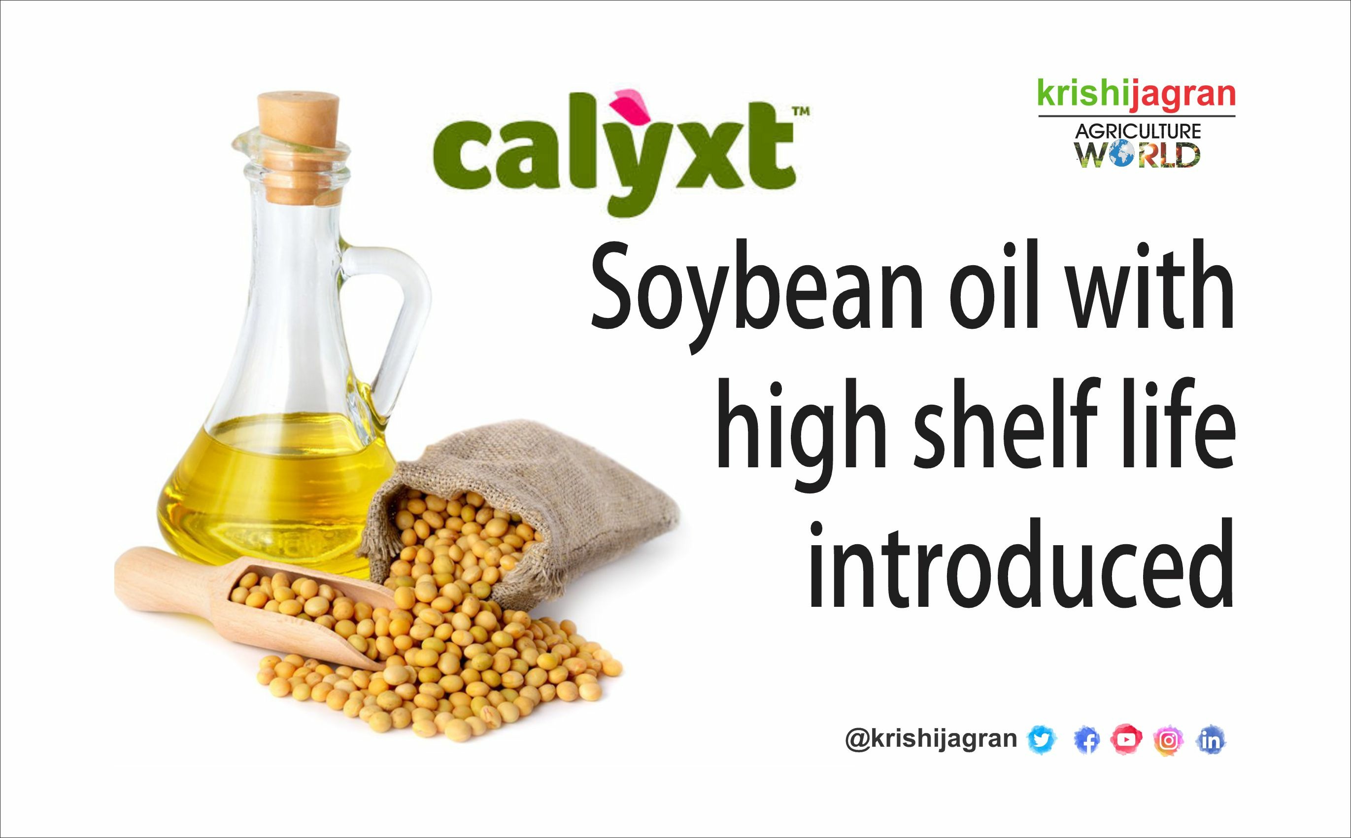HighOleic Soybean with High Shelf Life