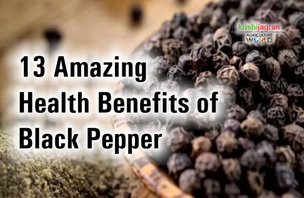 Black Pepper Benefits 13 Reasons to Use This Wonderful Spice