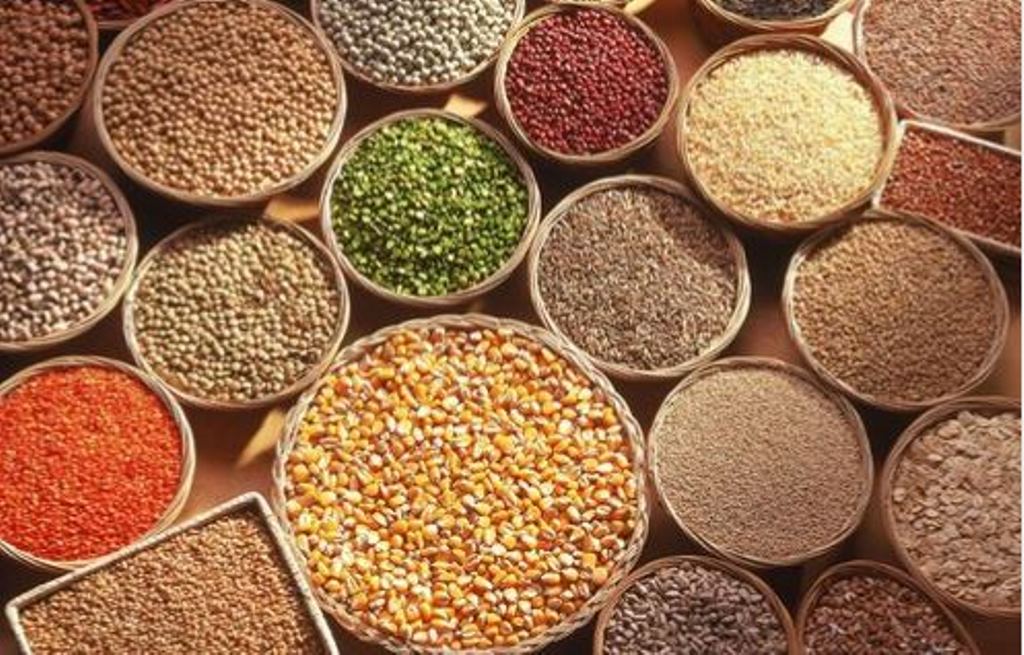 Millets SuperFood to Secure Dietary, Nutritional and Economic Security