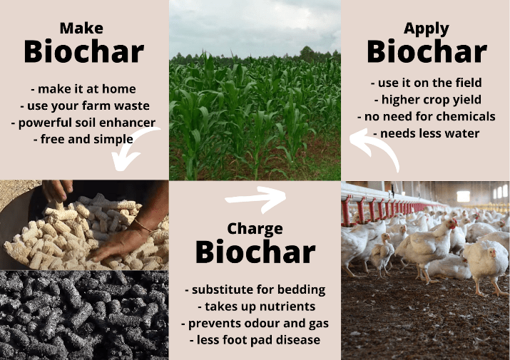 Biochar a Brief Overview; Biomass, Charcoal and Biochar, Ash and