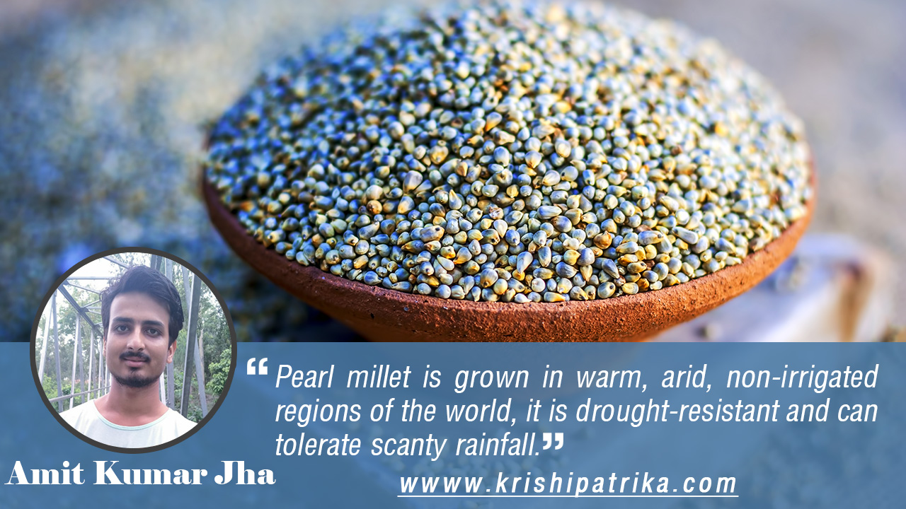 CULTIVATION PRACTICES OF PEARL MILLET (BAJRA) कृषि पत्रिका