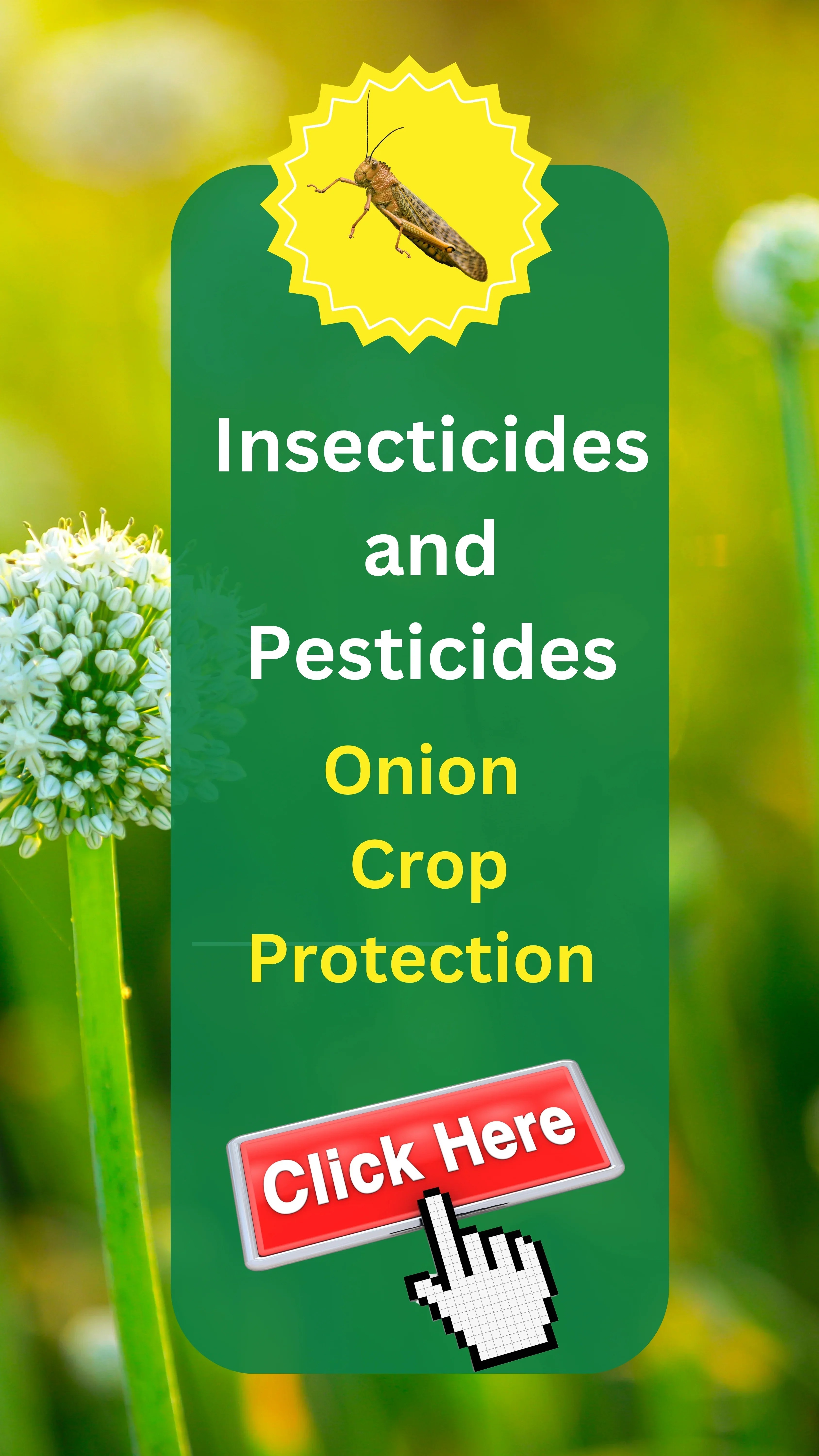 Buy Onion Insecticides Protect Your Crop from Thrips Upto 40 OFF.