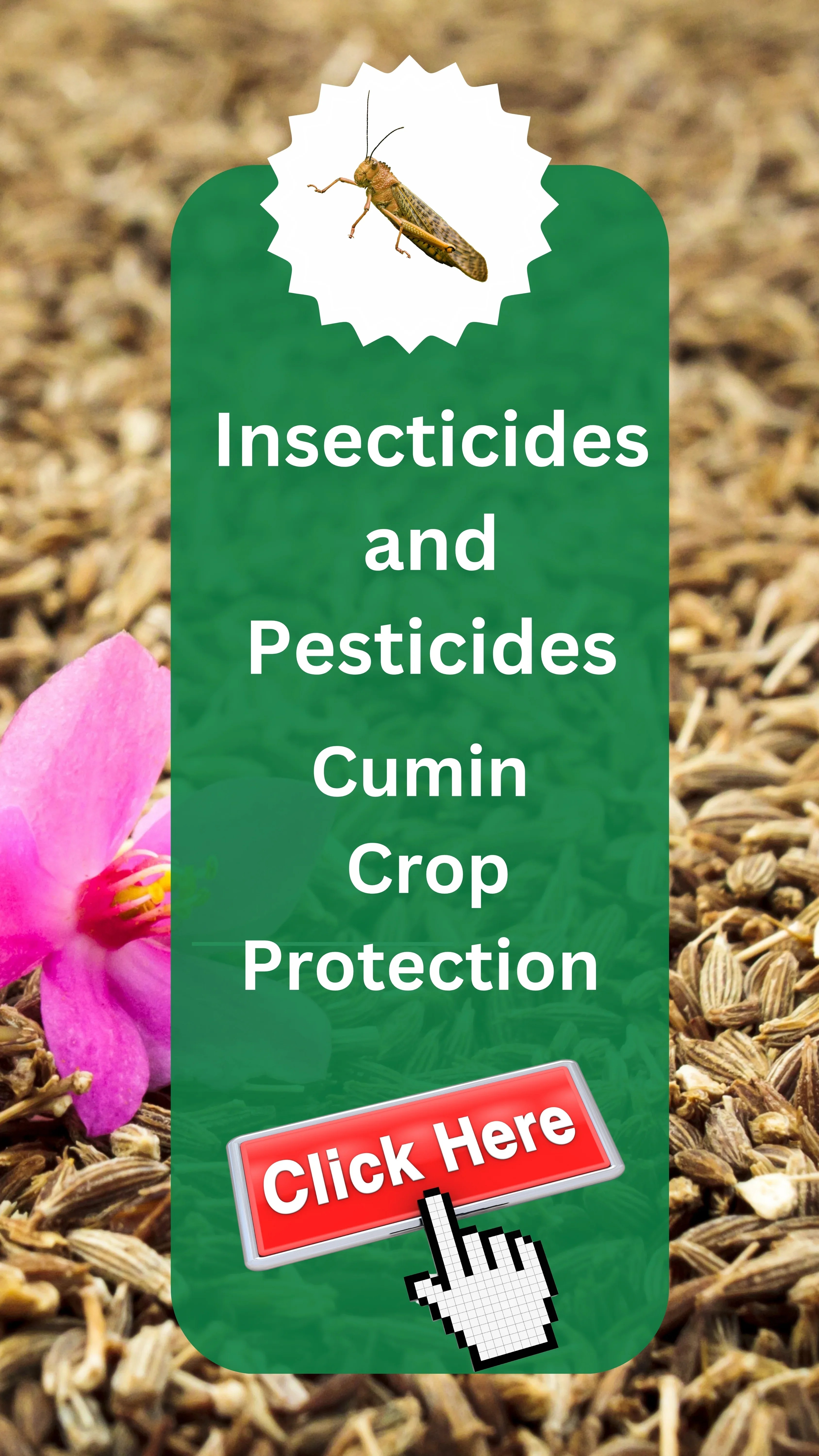 Buy Best Insecticides for Cumin Crops Control Whiteflies Online