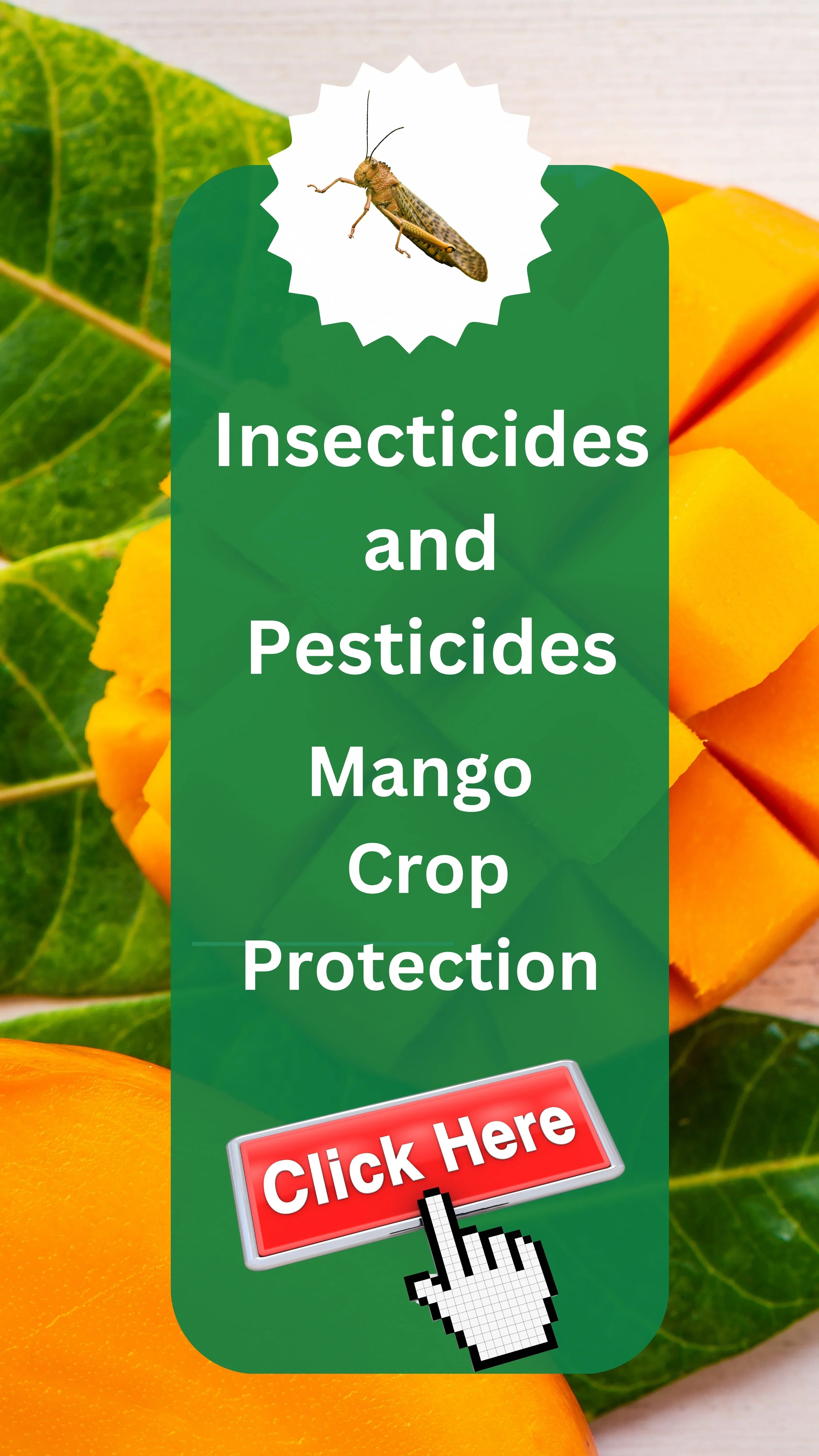 Buy Mango insecticides Save Mango Trees Katyayani EMA5 Online