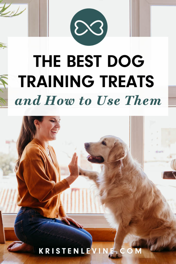 The Best Dog Training Treats and How to Use Them