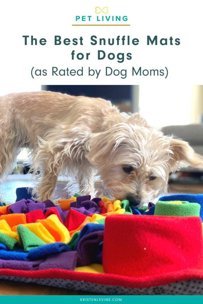 The Best Snuffle Mats for Dogs as Rated by Dog Moms