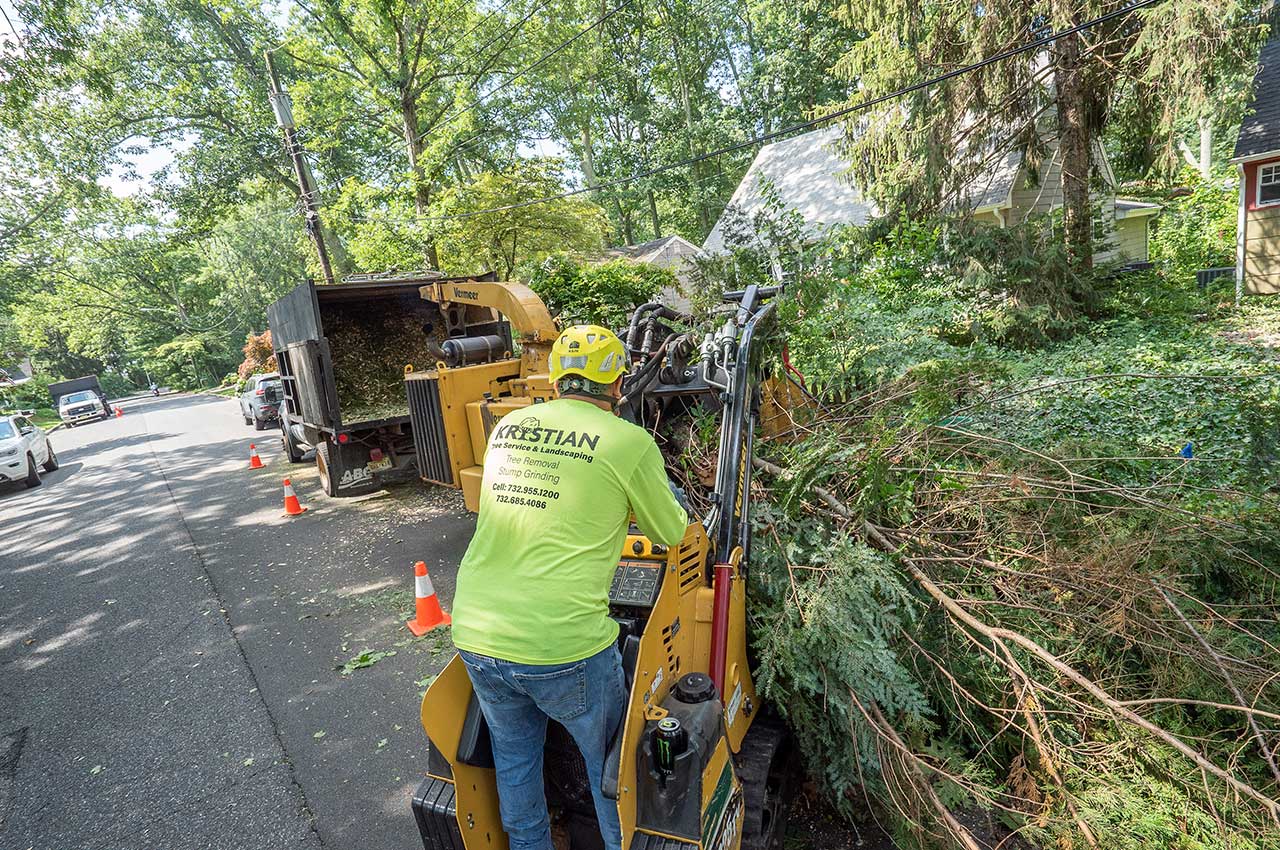 Kristian Tree Service Professional Tree Removal Services in Freehold, NJ