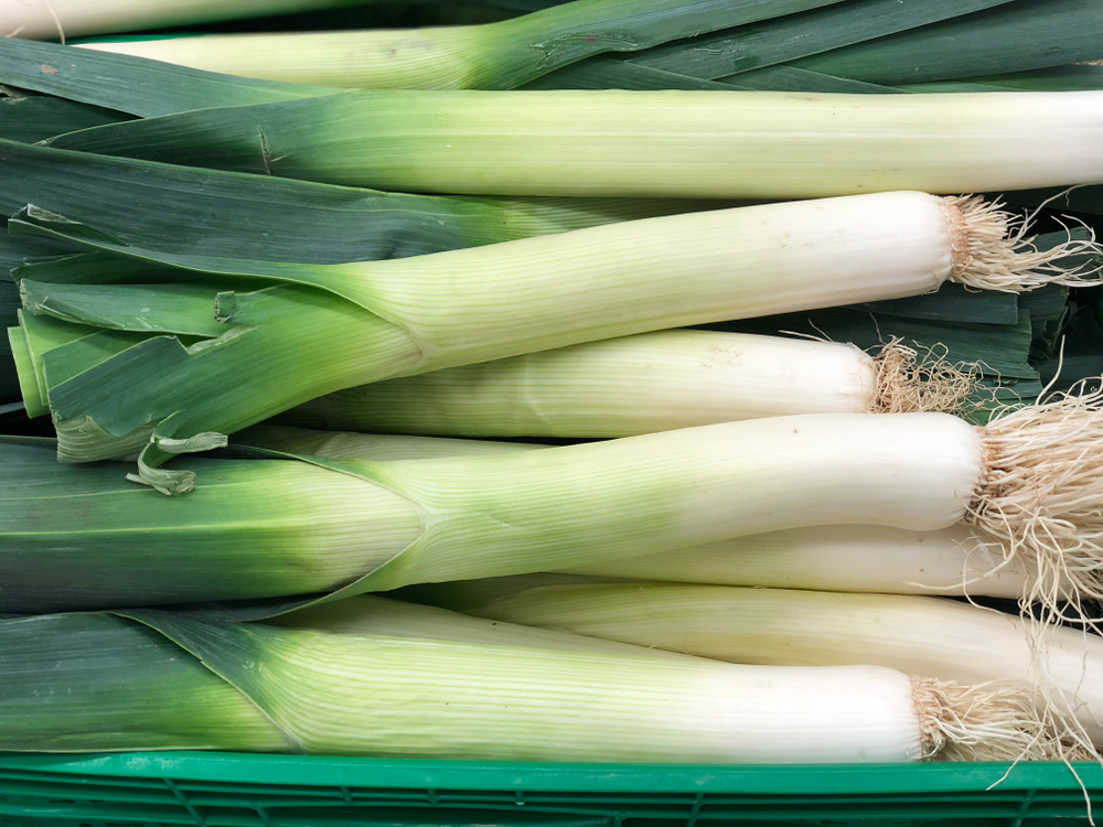 Leeks/ Wild Ramps Kris Ulland