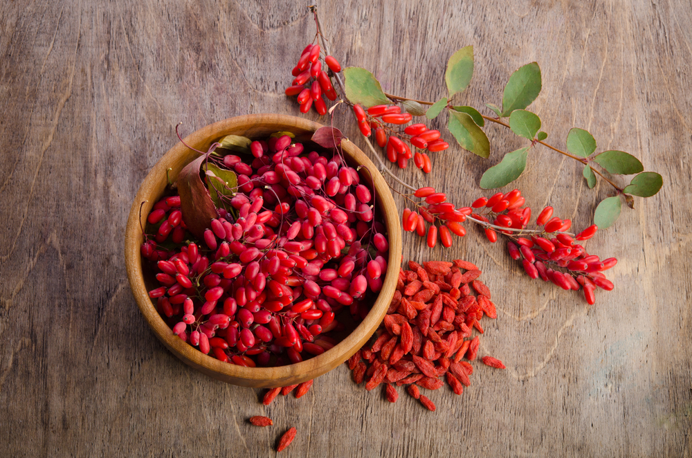 Goji Berries Kris Ulland