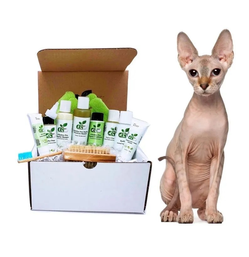 Sphynx Cat Gifts For Bald Feline Lovers • Kritter Kommunity
