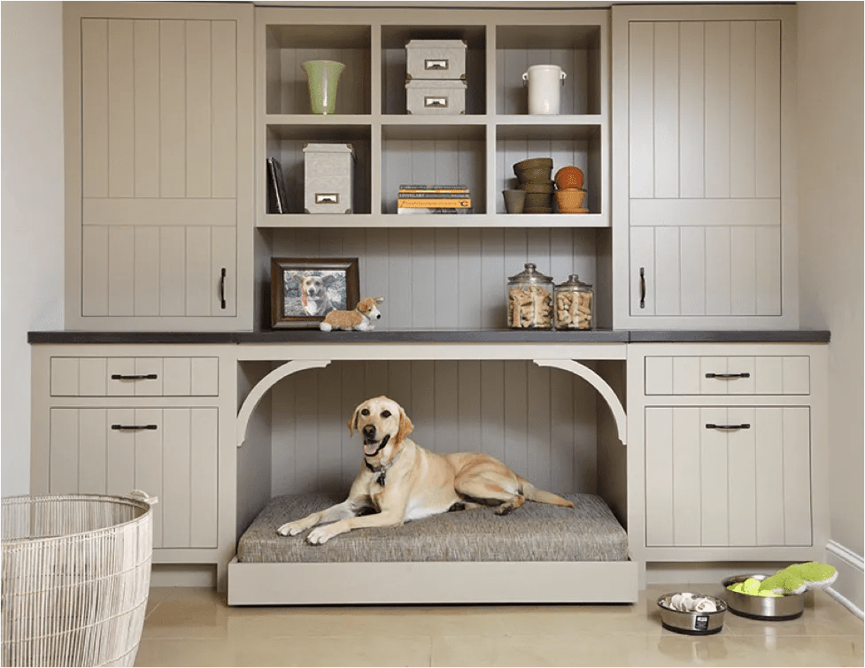 Design Pet Paradise Crafting a Stylish Haven for Your Furry Companion