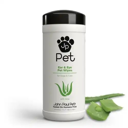 Cleaning Up Gunky Eyes A Guide for Dog Lovers • Kritter Kommunity