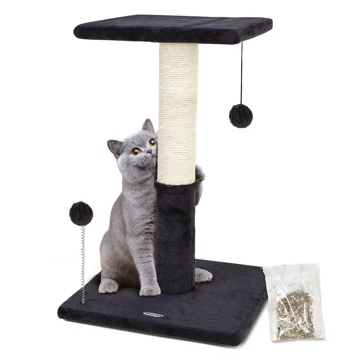 Choosing The Best Cat Perch for Your Feline Friend • Kritter Kommunity