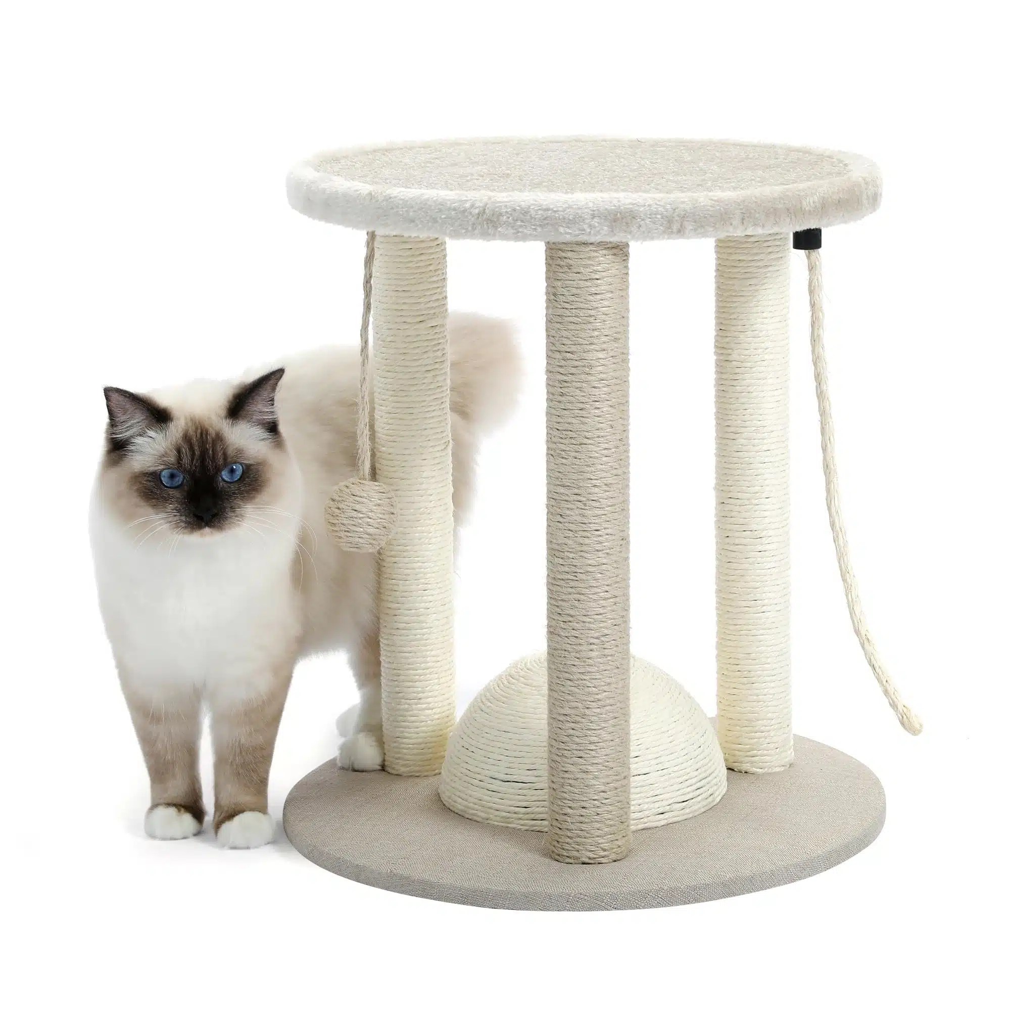 Choosing The Best Cat Perch for Your Feline Friend • Kritter Kommunity