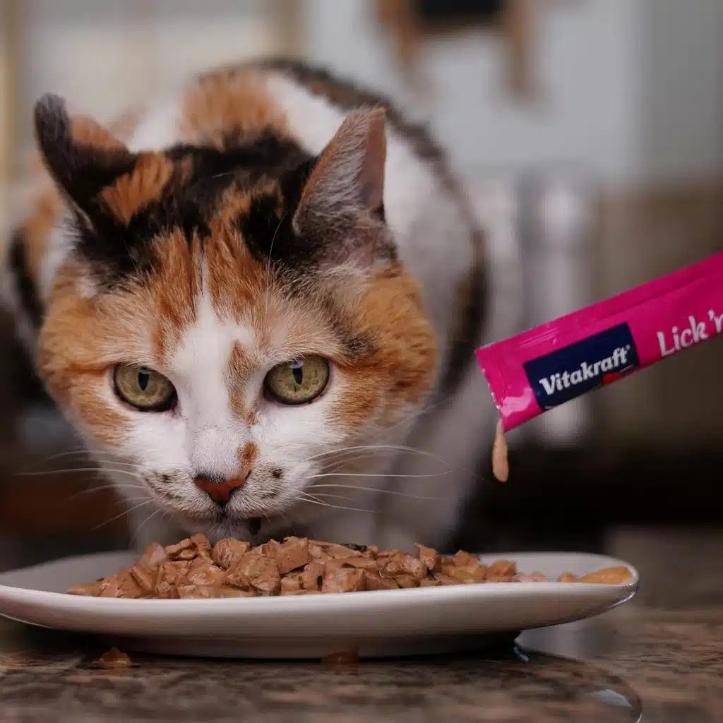 Product Review Vitakraft Lick ’n’ Lap Cat Treat • Kritter Kommunity