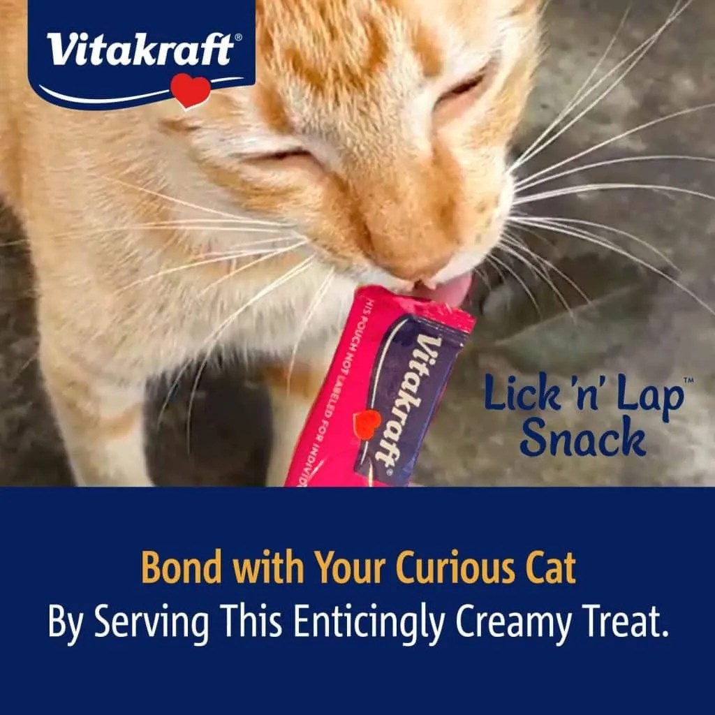 Product Review Vitakraft Lick ’n’ Lap Cat Treat • Kritter Kommunity